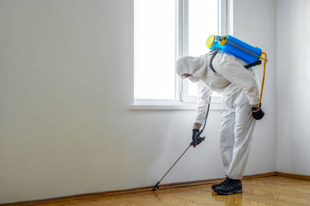 Pest Control for Hotels in St Martin, MS